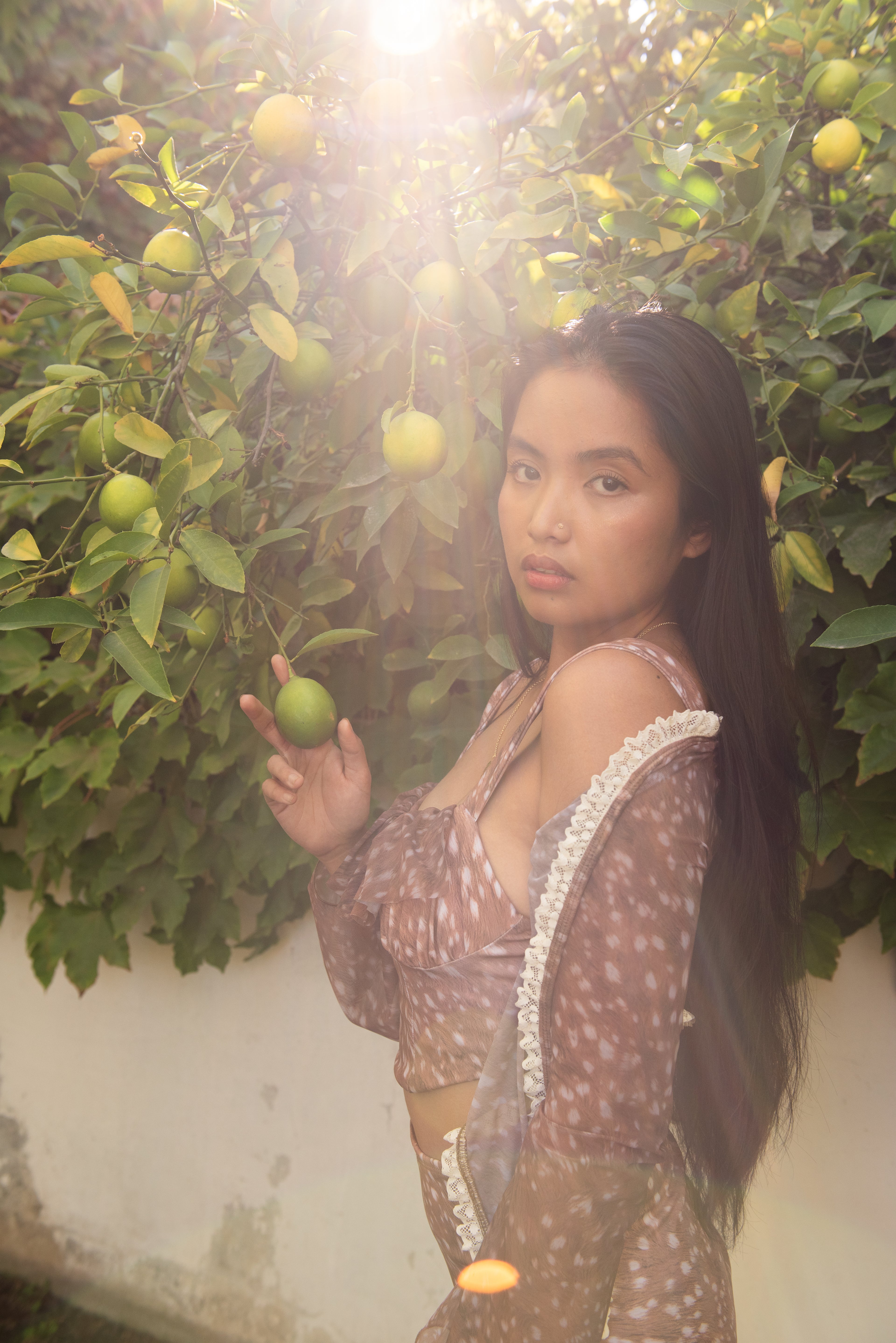 The "Whisper" Sheer Mesh & Lace Bolero Top Dappled Fawn SOFT BROWN