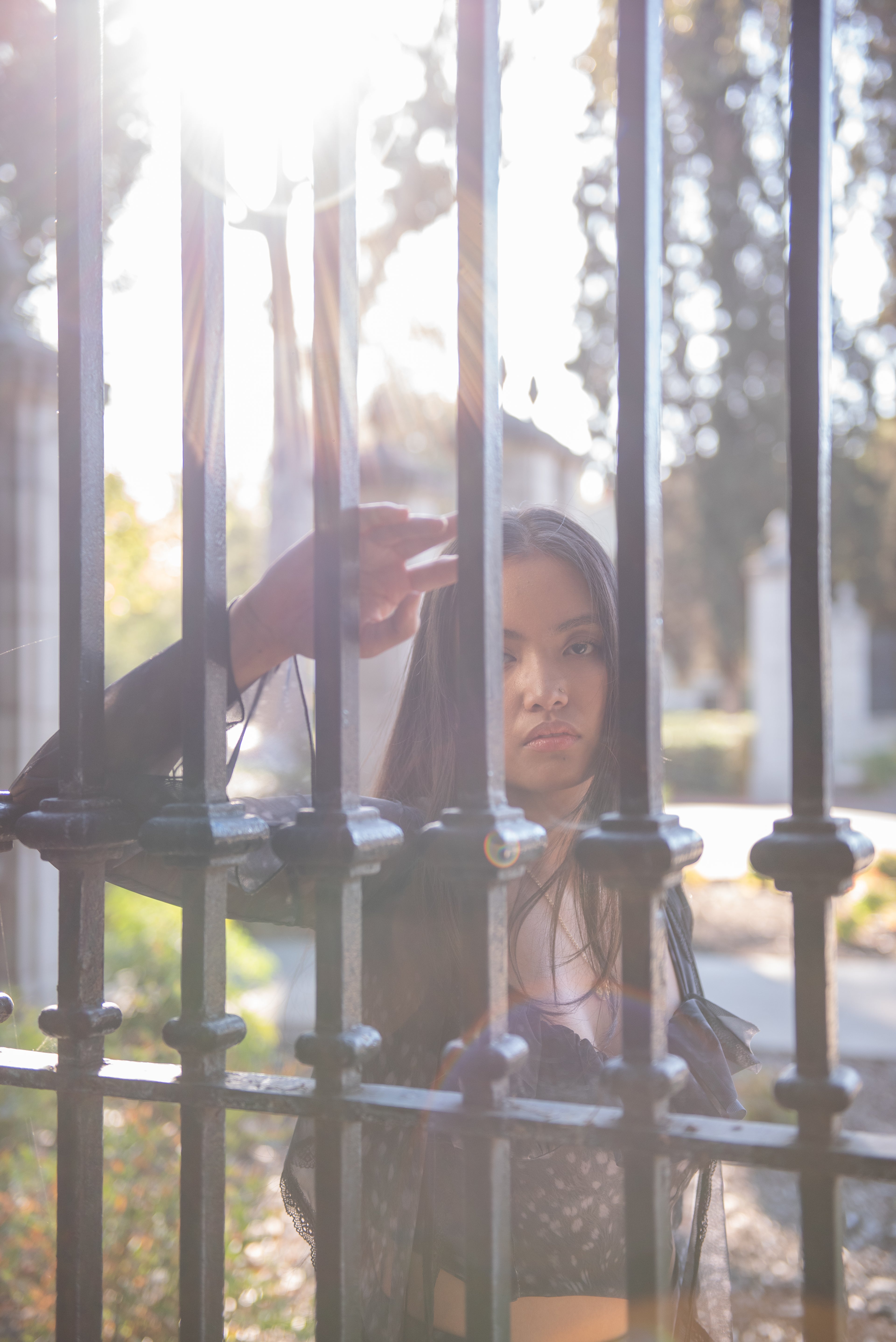 The "Whisper" Sheer Mesh & Lace Bolero Top Dappled Fawn SILVERY BLACK