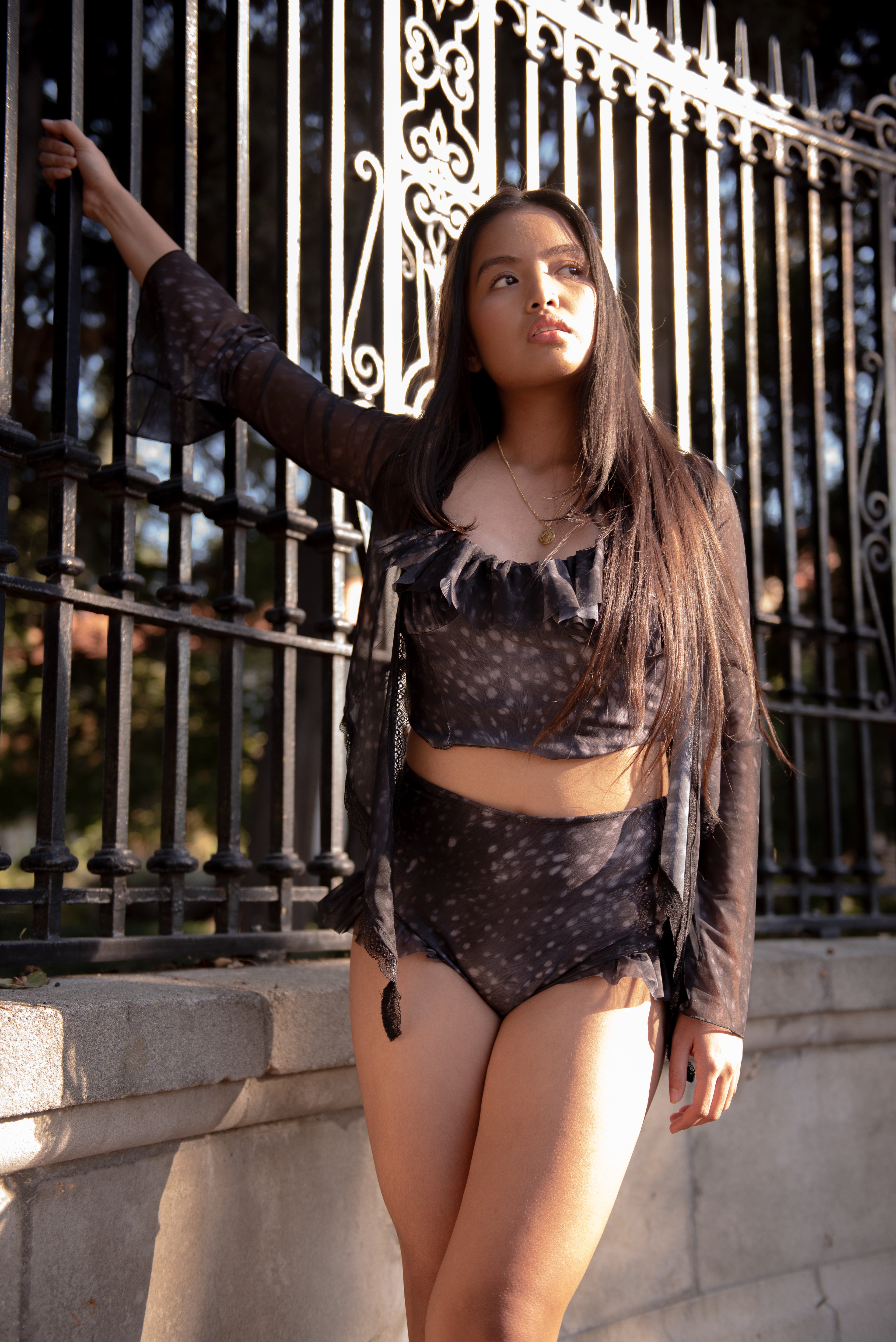 The "Whisper" Sheer Mesh & Lace Bolero Top Dappled Fawn SILVERY BLACK